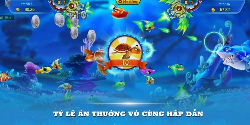 Thưởng lớn nếu bạn săn cá chuẩn